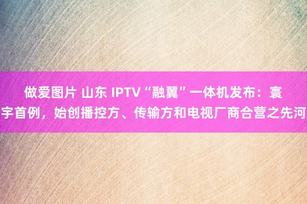 做爱图片 山东 IPTV“融翼”一体机发布：寰宇首例，始创播控方、传输方和电视厂商合营之先河