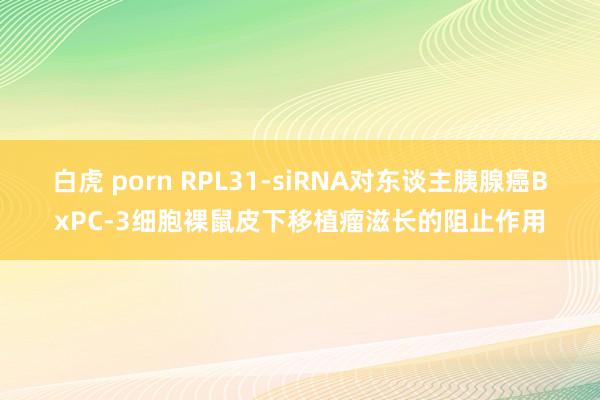 白虎 porn RPL31-siRNA对东谈主胰腺癌BxPC-3细胞裸鼠皮下移植瘤滋长的阻止作用