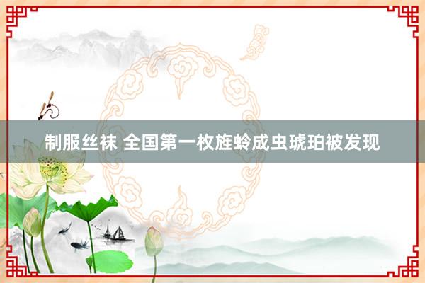 制服丝袜 全国第一枚旌蛉成虫琥珀被发现