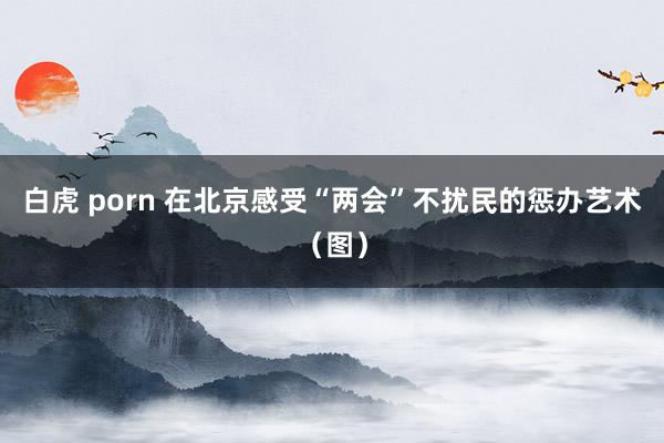 白虎 porn 在北京感受“两会”不扰民的惩办艺术（图）