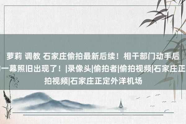 萝莉 调教 石家庄偷拍最新后续！相干部门动手后，最恶心的一幕照旧出现了！|录像头|偷拍者|偷拍视频|石家庄正定外洋机场