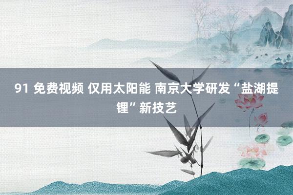 91 免费视频 仅用太阳能 南京大学研发“盐湖提锂”新技艺