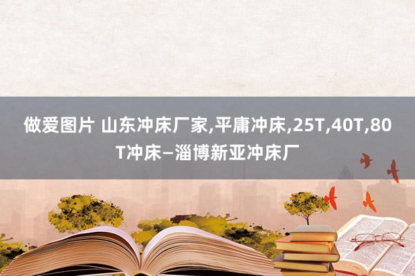 做爱图片 山东冲床厂家,平庸冲床,25T,40T,80T冲床—淄博新亚冲床厂