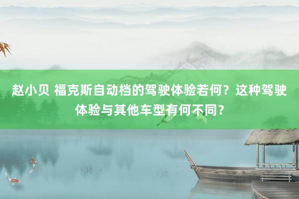 赵小贝 福克斯自动档的驾驶体验若何？这种驾驶体验与其他车型有何不同？