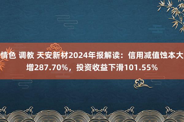 情色 调教 天安新材2024年报解读：信用减值蚀本大增287.70%，投资收益下滑101.55%