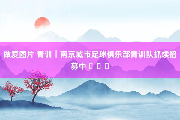 做爱图片 青训｜南京城市足球俱乐部青训队抓续招募中 ​​​